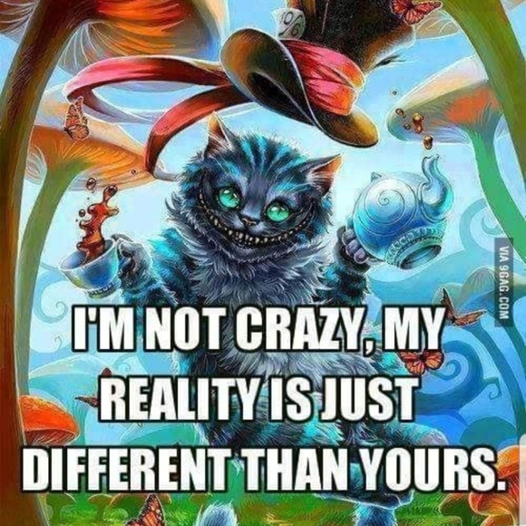 #1 Follow Game - Picture 2 of 7